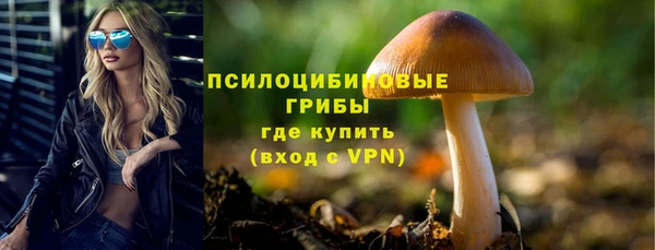 таблы Бородино