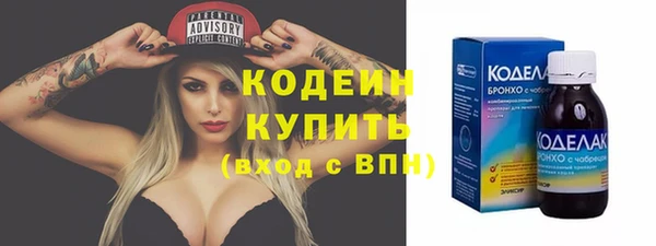 таблы Бородино