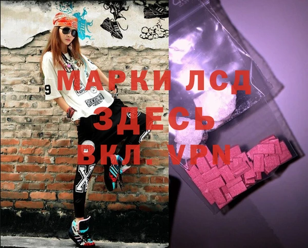 таблы Бородино