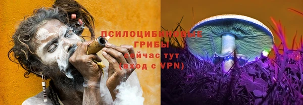 бошки Бугульма