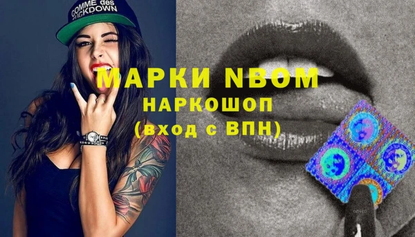 таблы Бородино