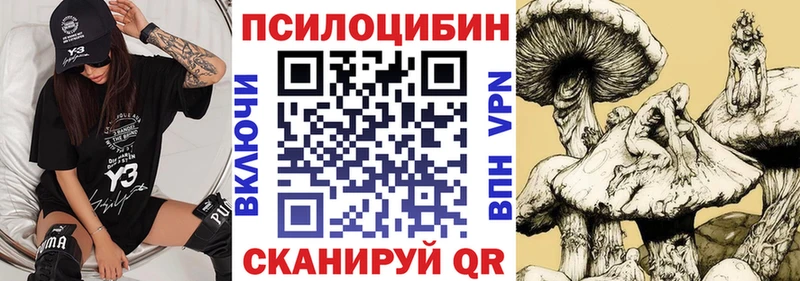 Псилоцибиновые грибы GOLDEN TEACHER  Яранск 